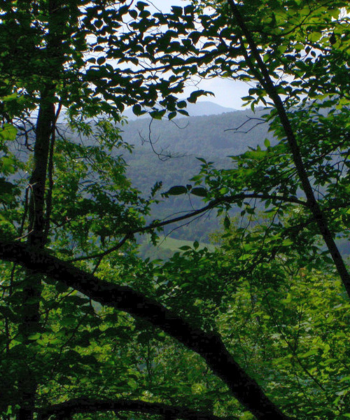 View of the Smokies