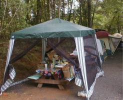 Wooded tent site